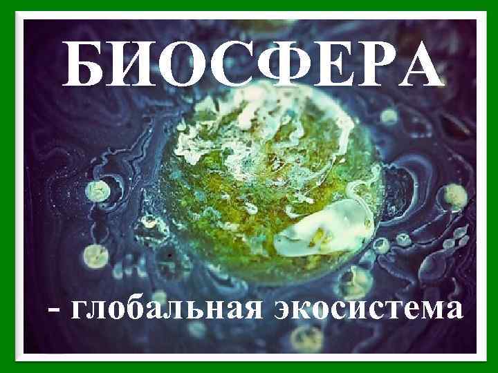 БИОСФЕРА - глобальная экосистема 