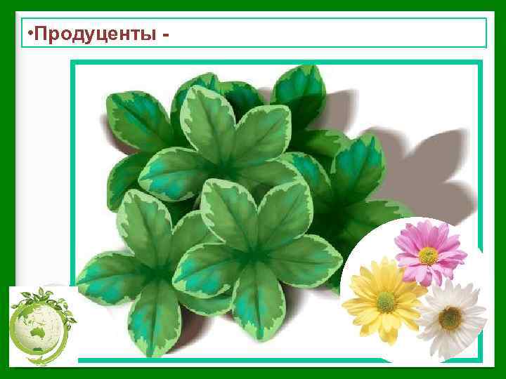  • Продуценты - 