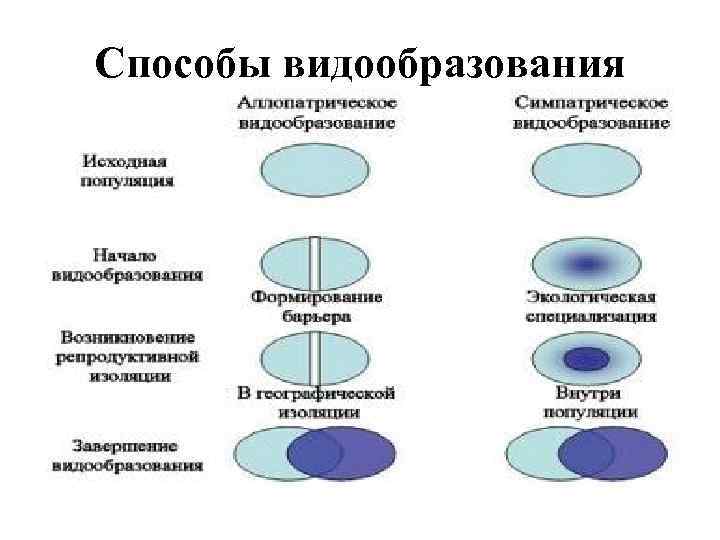 Способы видообразования 