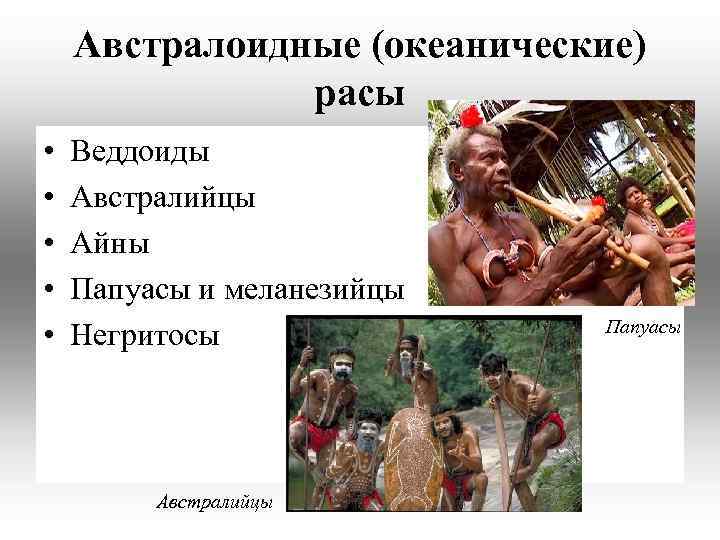 Австралоидные (океанические) расы • • • Веддоиды Австралийцы Айны Папуасы и меланезийцы Негритосы Австралийцы