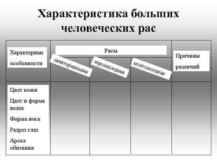 Характеристика больших человеческих рас Расы Характерные особенности Цвет кожи Цвет и форма волос Форма