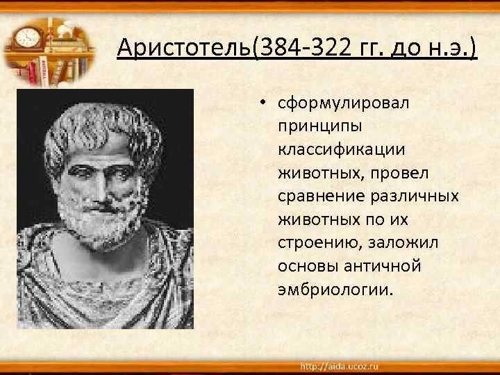 Аристотель(384 -322 гг. до н. э. ) • сформулировал принципы классификации животных, провел сравнение