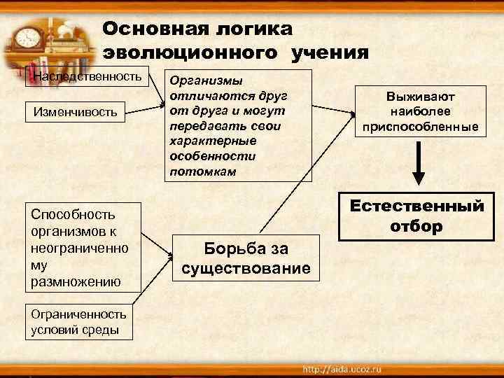 Основная логика эволюционного учения Наследственность Изменчивость Способность организмов к неограниченно му размножению Ограниченность условий