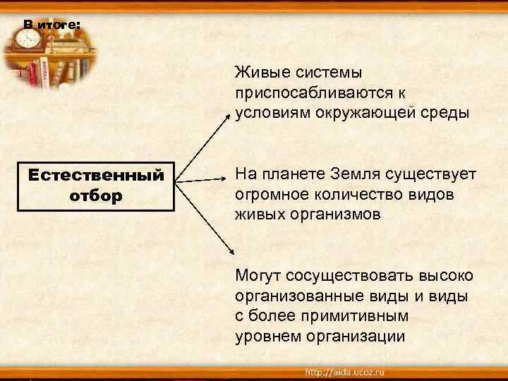 В итоге: Живые системы приспосабливаются к условиям окружающей среды Естественный отбор На планете Земля