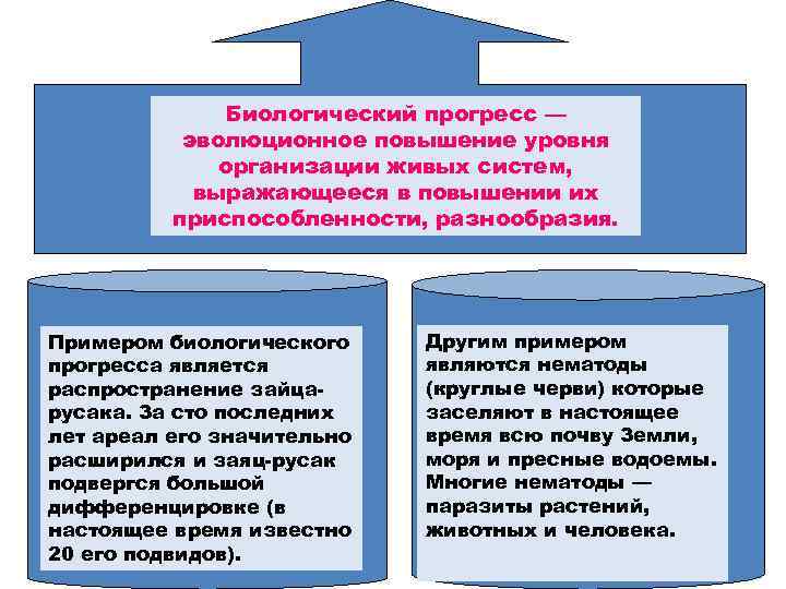 Биологический прогресс — эволюционное повышение уровня организации живых систем, выражающееся в повышении их приспособленности,