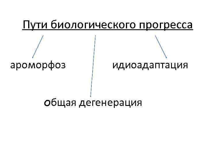 Пути биологического прогресса ароморфоз идиоадаптация общая дегенерация 