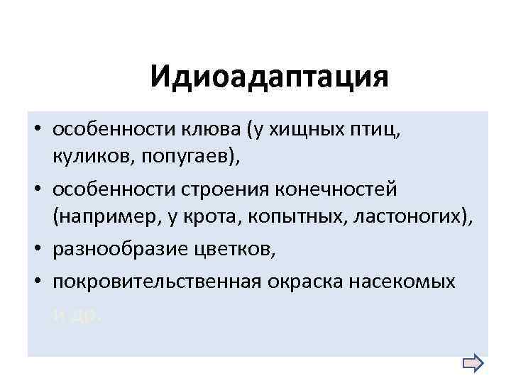 Идиоадаптации у птиц примеры. Идиоадаптация птиц. Идиоадаптация хищных птиц. Идиоадаптации водоплавающих птиц. Идиоадаптация птиц примеры.