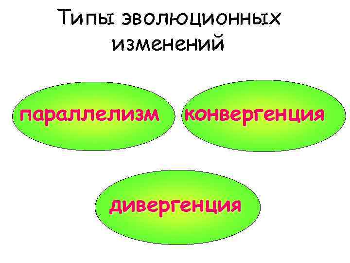 Типы эволюционных изменений презентация 9 класс