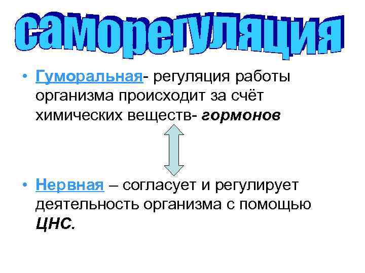  • Гуморальная- регуляция работы организма происходит за счёт химических веществ- гормонов • Нервная