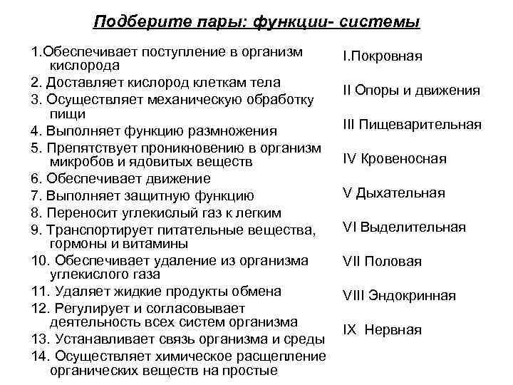 Подберите пары: функции- системы 1. Обеспечивает поступление в организм кислорода 2. Доставляет кислород клеткам