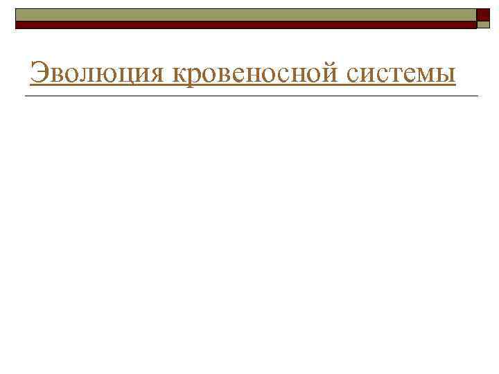 Эволюция кровеносной системы 