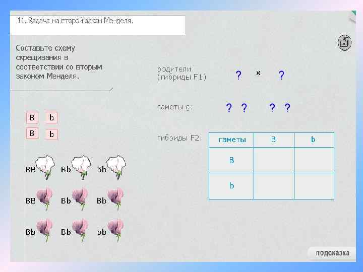 Генетическая схема 3 закона менделя