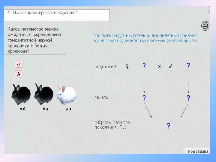 Скрестили гомозиготных черного. Полное доминирование это.