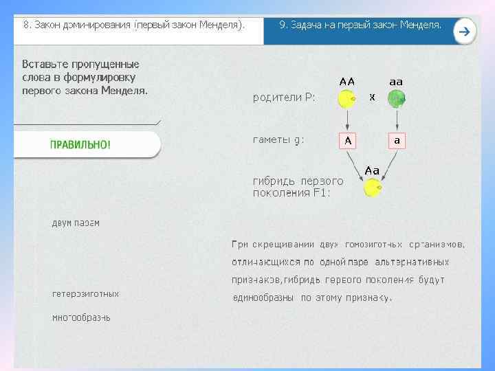 Первый и второй закон менделя моногибридное скрещивание