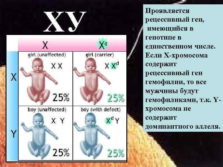 ХУ Проявляется рецессивный ген, имеющийся в генотипе в единственном числе. Если Х-хромосома содержит рецессивный