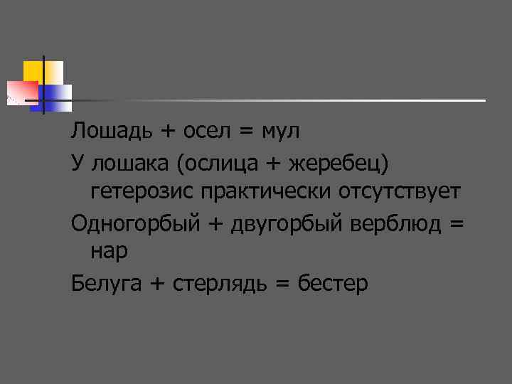 Лошадь + осел = мул У лошака (ослица + жеребец) гетерозис практически отсутствует Одногорбый