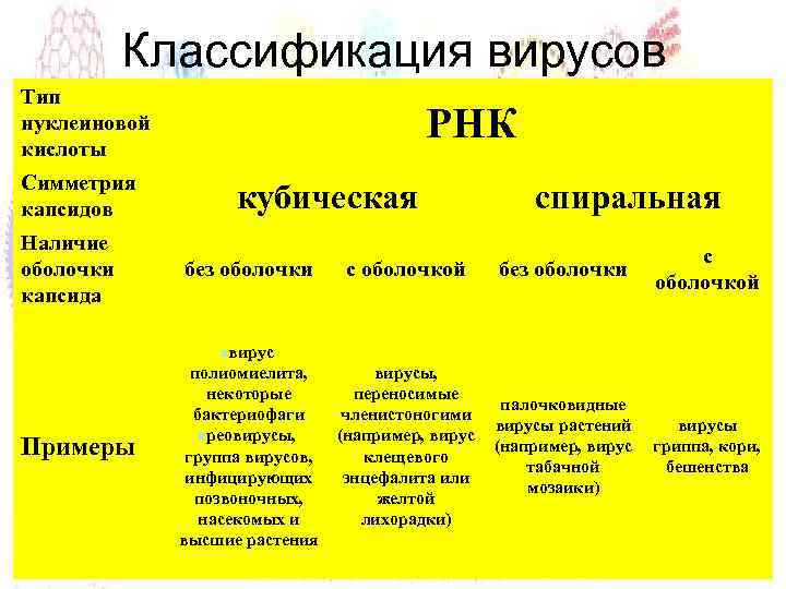 Классификация вирусов Тип нуклеиновой кислоты Симметрия капсидов Наличие оболочки капсида РНК кубическая без оболочки