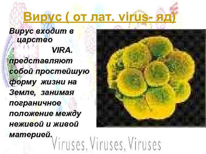 Вирус ( от лат. virus- яд) Вирус входит в царство VIRA. представляют собой простейшую