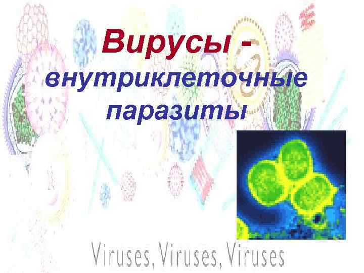 Вирусы внутриклеточные паразиты 