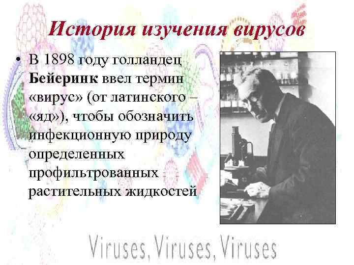 История изучения вирусов • В 1898 году голландец Бейеринк ввел термин «вирус» (от латинского