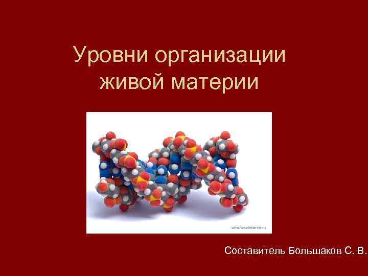 Уровни организации живой материи Составитель Большаков С. В. 