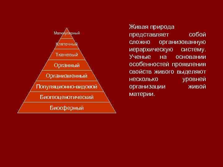 Молекулярный Клеточный Тканевый Органный Организменный Популяционно-видовой Биогеоценотический Биосферный Живая природа представляет собой сложно организованную