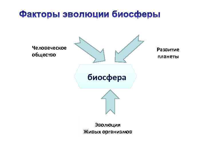 Эволюция биосферы презентация