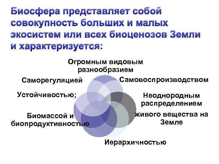 Биосфера представляет собой совокупность больших и малых экосистем или всех биоценозов Земли и характеризуется: