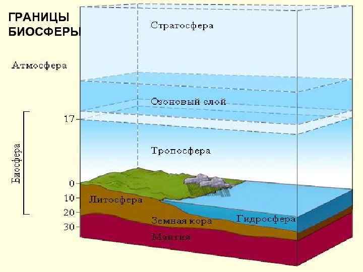 ГРАНИЦЫ БИОСФЕРЫ 