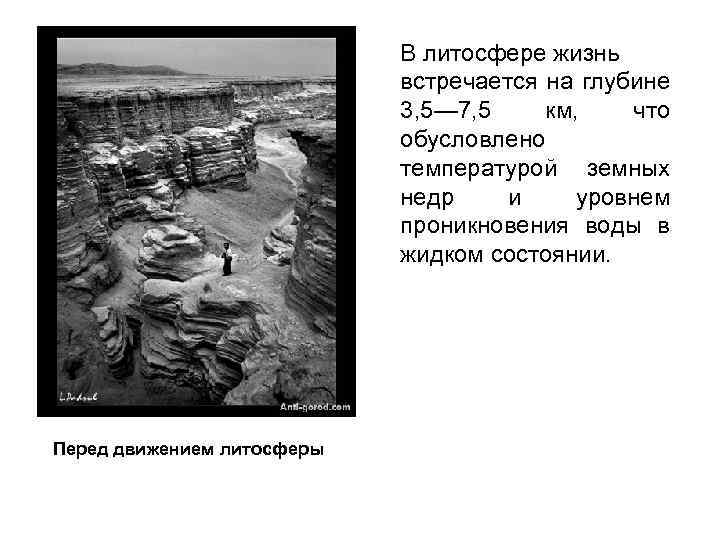 В литосфере жизнь встречается на глубине 3, 5— 7, 5 км, что обусловлено температурой