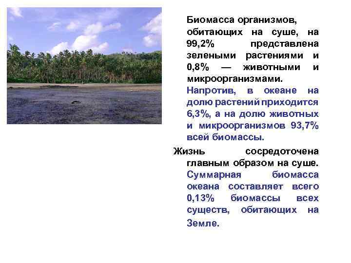 Биомасса организмов, обитающих на суше, на 99, 2% представлена зелеными растениями и 0, 8%