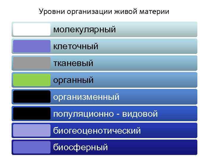 Уровни организации живой материи молекулярный клеточный тканевый органный организменный популяционно - видовой биогеоценотический биосферный