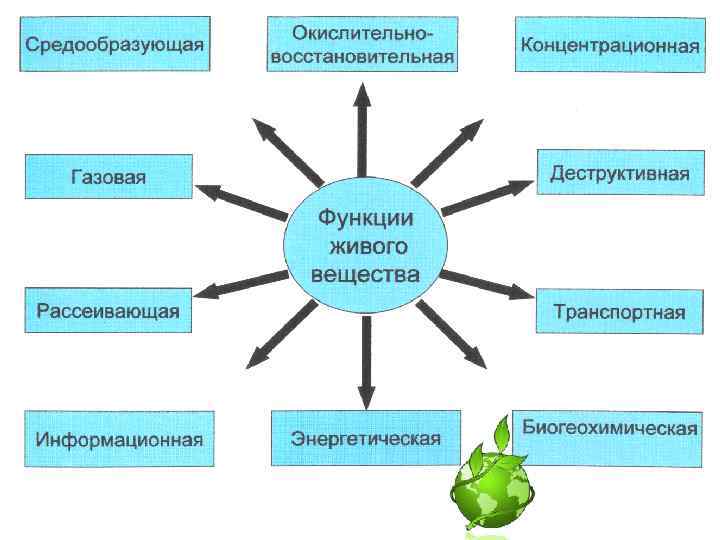 Структура биосферы схема