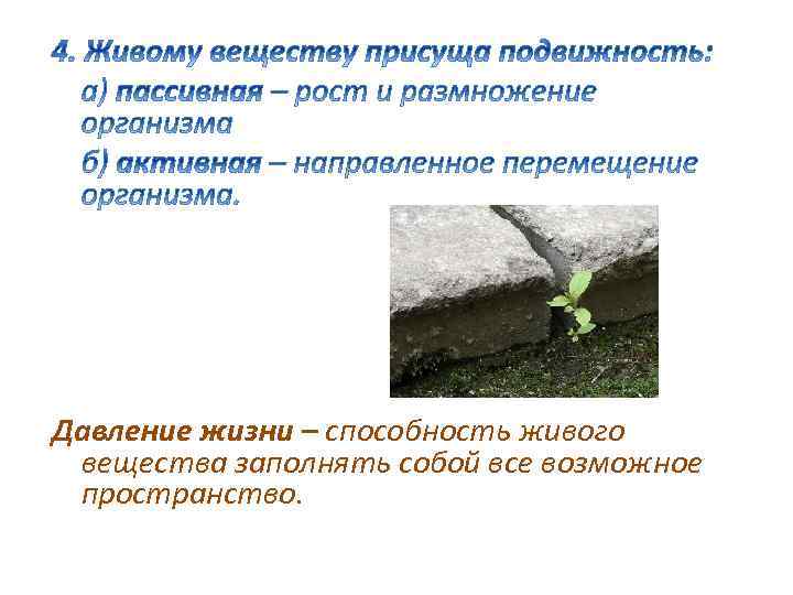 Давление жизни – способность живого вещества заполнять собой все возможное пространство. 