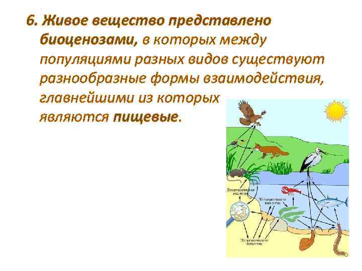 6. Живое вещество представлено биоценозами, в которых между популяциями разных видов существуют разнообразные формы