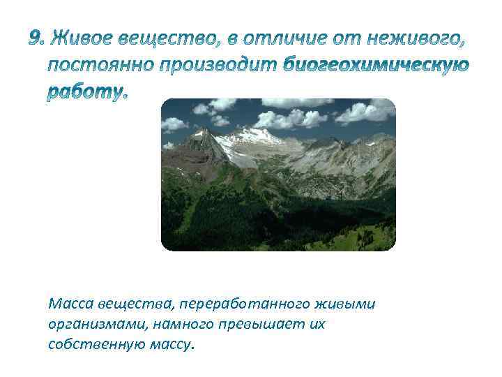 Масса вещества, переработанного живыми организмами, намного превышает их собственную массу. 