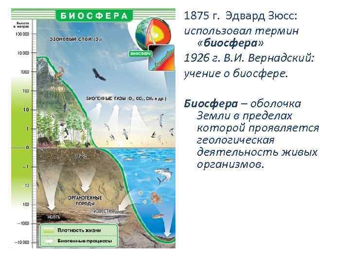 1875 г. Эдвард Зюсс: использовал термин «биосфера» 1926 г. В. И. Вернадский: учение о