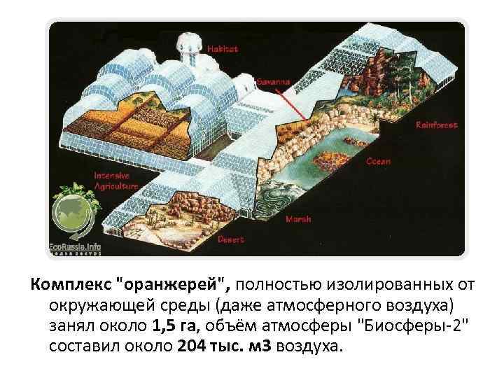 Комплекс "оранжерей", полностью изолированных от окружающей среды (даже атмосферного воздуха) занял около 1, 5