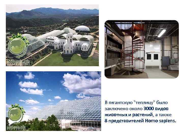 В гигантскую "теплицу" было заключено около 3000 видов животных и растений, а также 8