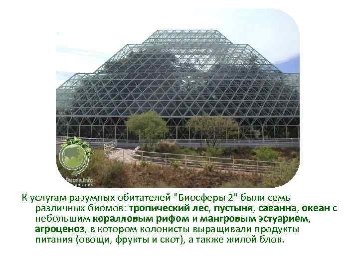 К услугам разумных обитателей "Биосферы 2" были семь различных биомов: тропический лес, пустыня, саванна,