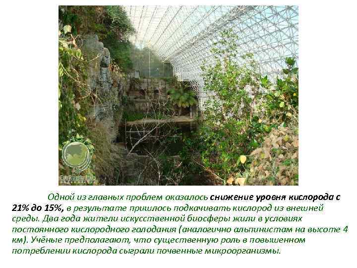 Одной из главных проблем оказалось снижение уровня кислорода с 21% до 15%, в результате