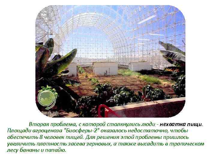 Вторая проблема, с которой столкнулись люди - нехватка пищи. Площади агроценоза "Биосферы-2" оказалось недостаточно,