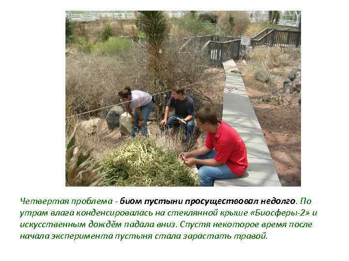 Четвертая проблема - биом пустыни просуществовал недолго. По утрам влага конденсировалась на стеклянной крыше
