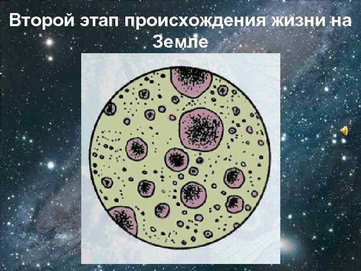 Второй этап происхождения жизни на Земле Коацерватные капли 