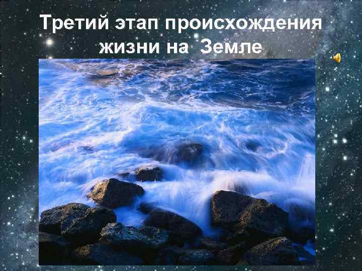 Третий этап происхождения жизни на Земле 