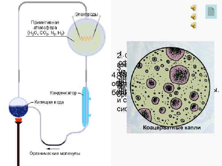 1. Органические вещества 2. Органические вещества сформировались взаимодействовали, 3. Свободные гены из неорганических 4.