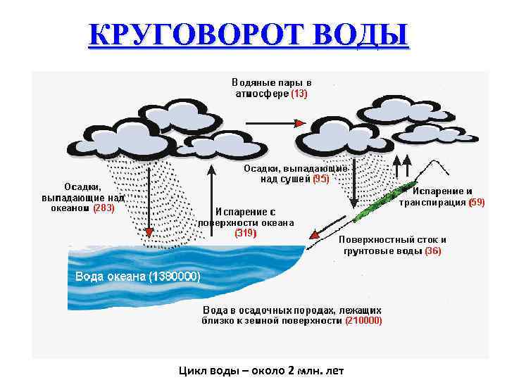 КРУГОВОРОТ ВОДЫ Цикл воды – около 2 млн. лет 