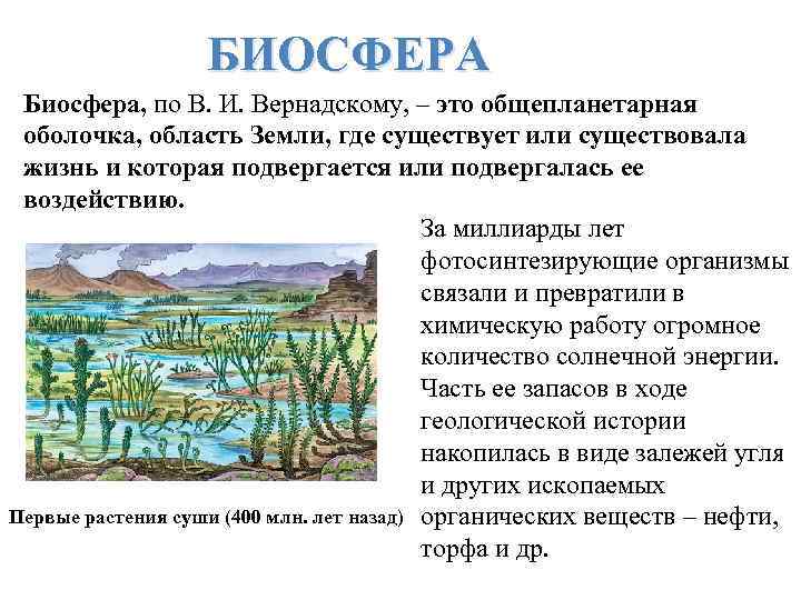 БИОСФЕРА Биосфера, по В. И. Вернадскому, – это общепланетарная оболочка, область Земли, где существует