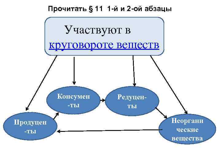 Прочитать § 11 1 -й и 2 -ой абзацы Участвуют в круговороте веществ Консумен