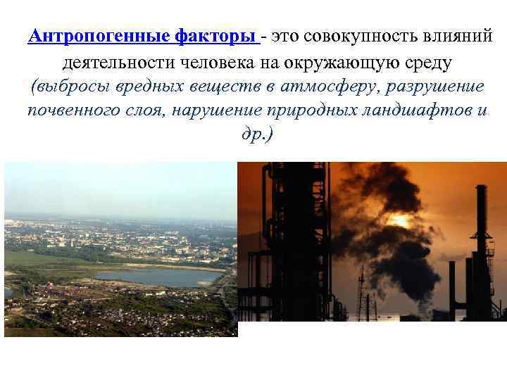 Антропогенные факторы - это совокупность влияний деятельности человека на окружающую среду (выбросы вредных веществ